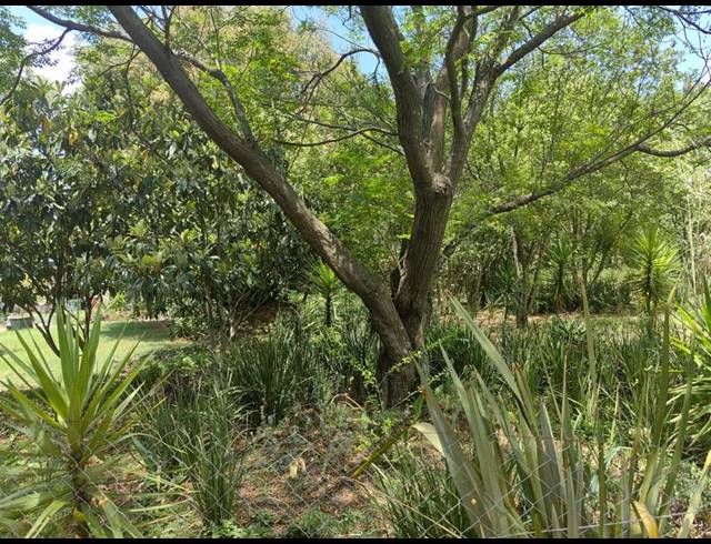 FARM FOR SALE IN PRESIDENT PARK